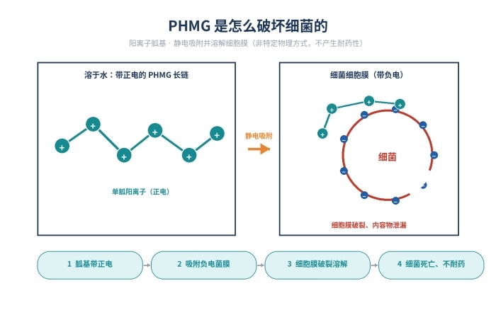 聚六亚甲基单胍盐酸盐,PHMG25抗菌剂,57028-96-3(图2)