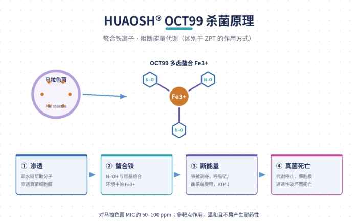 厂家供应优质 OCT99去屑剂,吡罗克酮乙醇胺盐,广谱温和,不含 ZPT,CAS 68890-66-4(图3)