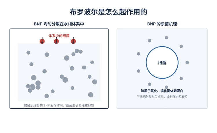 布罗波尔BNP(溴硝醇、Bronopol)防腐剂,溴类杀菌剂,无刺激不致敏,52-51-7(图2)