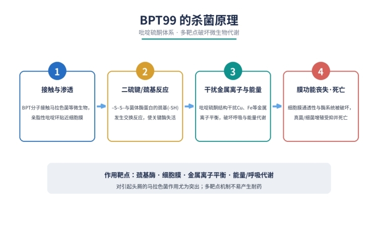 双吡啶硫酮BPT99日化级抗菌剂,更安全的去屑剂(图3)