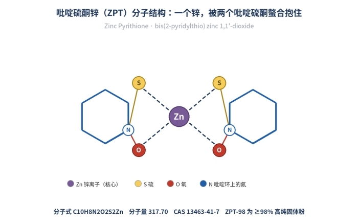 吡啶硫酮锌ZPT98防霉抗菌去屑剂_13463-41-7,抑制革兰氏阳性、阴性细菌及霉菌(图1)