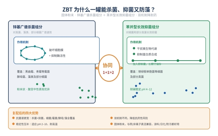 ZBT复配型抗菌剂 洗发水湿巾乳胶漆杀菌防霉 船舶防污抗藻(图1)