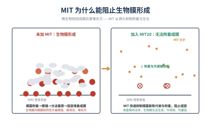 甲基异噻唑啉酮(MIT20)防腐剂,超强的抑菌能力,不含金属盐,2682-20-4(图3)