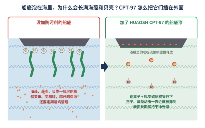 CPT-97 (吡啶硫酮铜97%)防霉防污剂,14915-37-8(图2)
