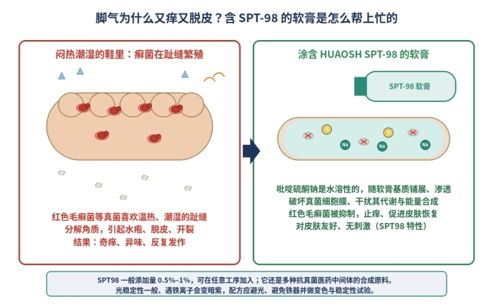 SPT98粉末杀菌防霉抗菌剂,吡啶硫酮钠固体,3811-73-2(图2)