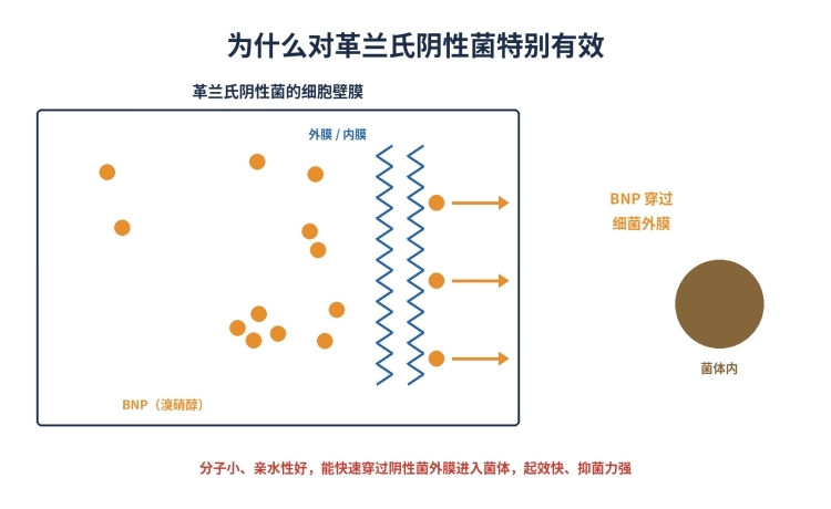 布罗波尔BNP(溴硝醇、Bronopol)防腐剂,溴类杀菌剂,无刺激不致敏,52-51-7(图1)
