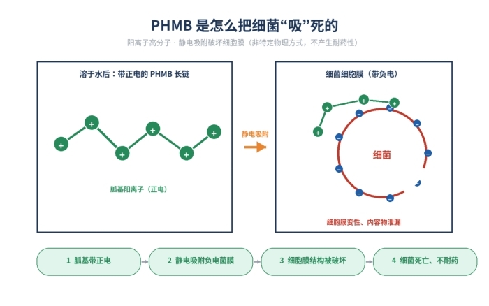 聚六亚甲基双胍盐酸盐，PHMB20抗菌剂，32289-58-0(图2)