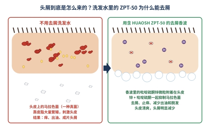 ZPT-50去屑剂,吡啶硫酮锌50%悬浮液抗菌剂,13463-41-7(图2)