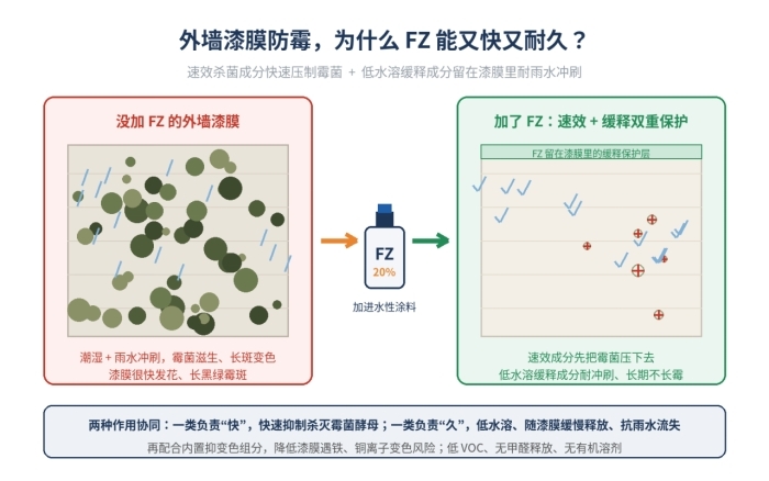 FZ干膜防霉剂,水性建筑涂料及建材防霉专用(图1)