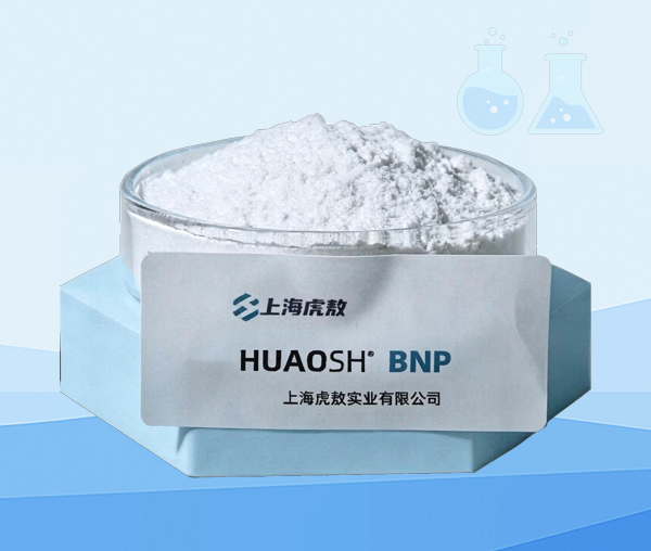布罗波尔/BNP